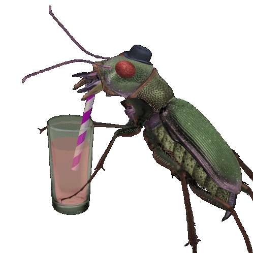 bugdrinkerr